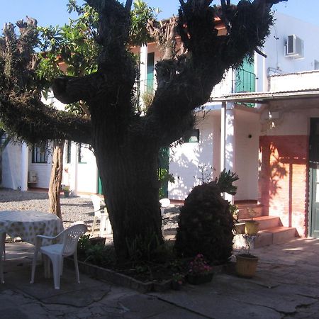 Hostel El Espanol โกโลเนีย เดล ซากราเมนโต ภายนอก รูปภาพ